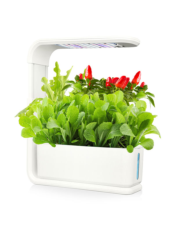 LED hydropónia Grow system TL0100008